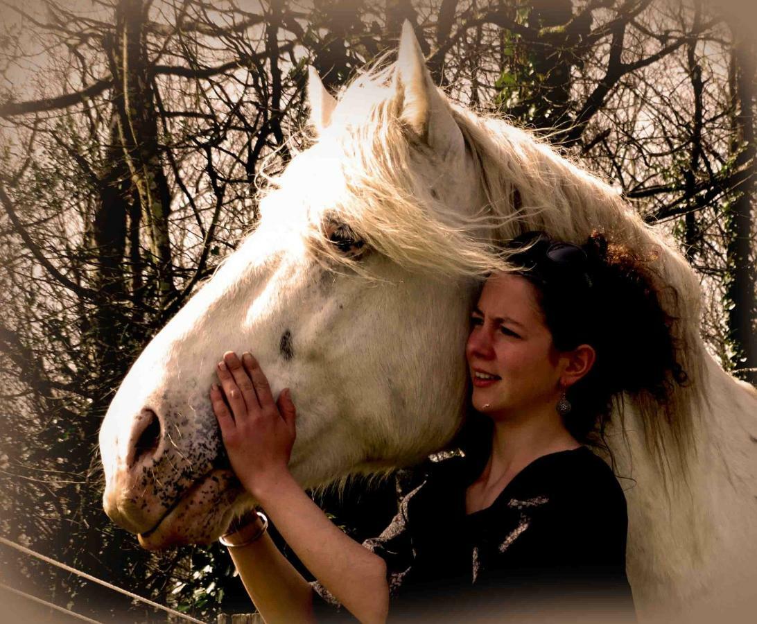 Une Roulotte Et Des Chevaux Treffléan 外观 照片